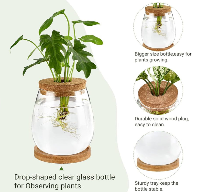 Propagation Jars - HG